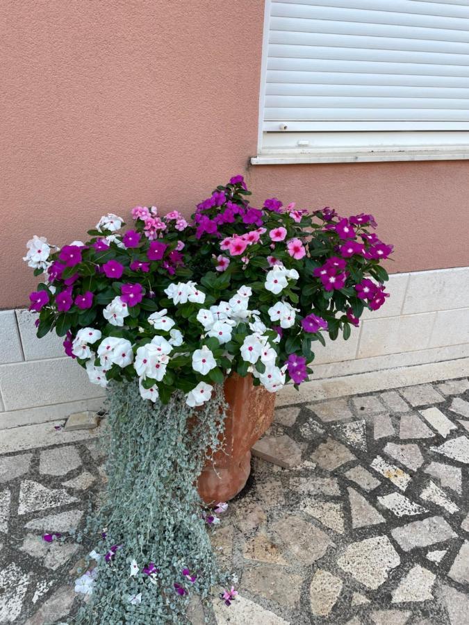 فندق Apartman Jukic مارينا المظهر الخارجي الصورة
