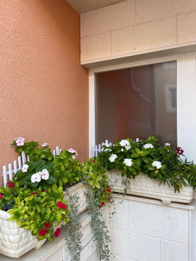 فندق Apartman Jukic مارينا المظهر الخارجي الصورة