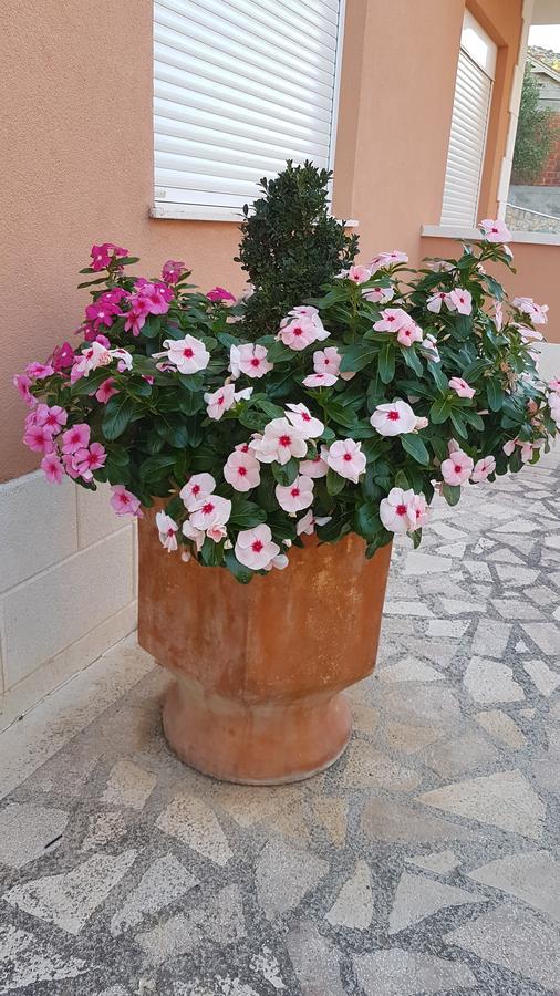فندق Apartman Jukic مارينا المظهر الخارجي الصورة